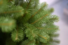 National Tree Company Bayberry spruce kunstkerstboom groen 213cm - afbeelding 2