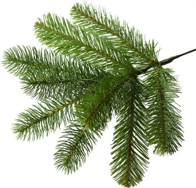 National Tree Company Bayberry verlichte kunstkerstboom groen 228cm - 600 lampjes - afbeelding 4