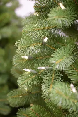 National Tree Company Bayberry verlichte kunstkerstboom groen 228cm - 600 lampjes - afbeelding 3