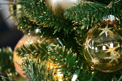 National Tree Company Shimmery Golden Bristle kunstkerstboom goud & groen 228cm - afbeelding 6