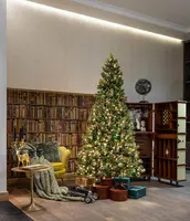 National Tree Company Shimmery Golden Bristle kunstkerstboom goud & groen 228cm - afbeelding 7