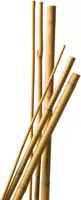 Nature Bamboestok 240 cm d18-20mm 3 stuks - afbeelding 3