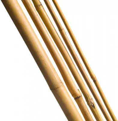 Nature Bamboestok 240 cm d18-20mm 3 stuks - afbeelding 1
