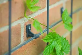 Nature Bevestigingsset klimrek 6 stuks - afbeelding 3