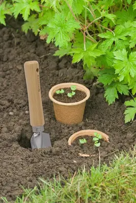 Nature Biopot 8x10,5cm - 3stuks - afbeelding 3