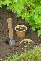 Nature Biopot 8x10,5cm - 3stuks - afbeelding 3
