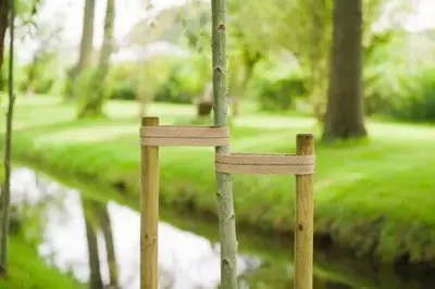 Nature Boomband Jute 6x200cm Naturel - afbeelding 2