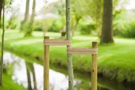 Nature Boomband Jute 6x200cm Naturel - afbeelding 2