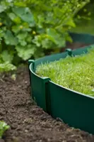 Nature Borderrandpennen groen 10 stuks - afbeelding 5