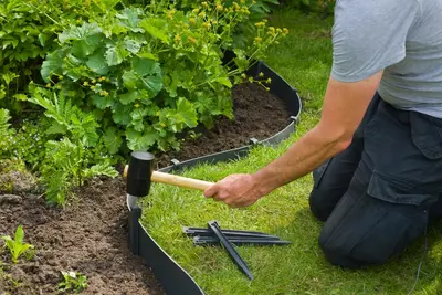 Nature Borderrandpennen h19.5 cm zwart 10 stuks - afbeelding 3