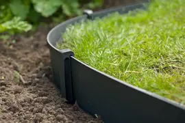 Nature Borderrandpennen h19.5 cm zwart 10 stuks - afbeelding 5