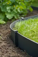 Nature Borderrandpennen h19.5 cm zwart 10 stuks - afbeelding 4
