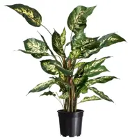 Nature Container afwatering 10l zwart - afbeelding 3