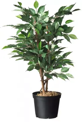 Nature Container afwatering+inkeping 4l zwart - afbeelding 3