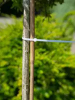 Nature Kabelbinders Nylon Transparant 30 cm – 25 stuks - afbeelding 3