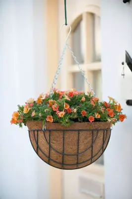 Nature Kokosinlegvel+waterkering d25cm - afbeelding 3