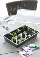 Nature Kweekbak antraciet 55x31cm - afbeelding 2