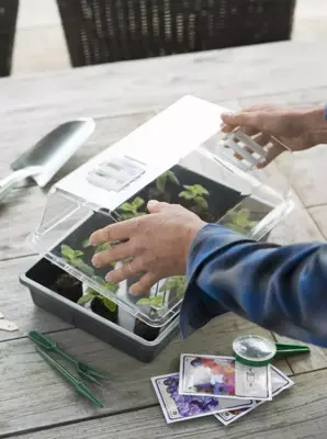 Nature Kweekbak antraciet 55x31cm - afbeelding 4