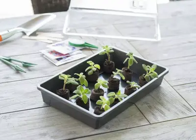 Nature Kweekbak antraciet 55x31cm - afbeelding 3