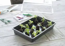 Nature Kweekbak antraciet 55x31cm - afbeelding 3