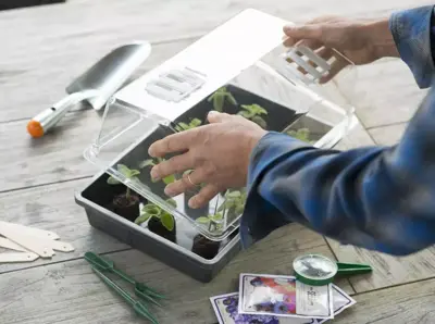 Nature Kweekbak antraciet 55x31cm - afbeelding 5