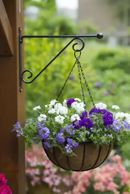 Nature Muurhaak knop zwart h31b39cm - afbeelding 2