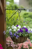 Nature Muurhaak knop zwart h31b39cm - afbeelding 2