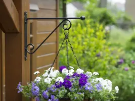Nature Muurhaak knop zwart h31b39cm - afbeelding 3
