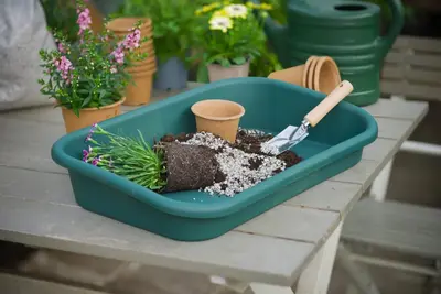 Nature Oppotschaal Groen H 7/11 x 59 x 39 cm - afbeelding 4