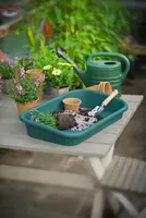Nature Oppotschaal Groen H 7/11 x 59 x 39 cm - afbeelding 3