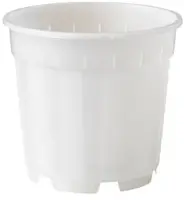 Nature Orchidee Pot Transparant Ø12cm kopen?