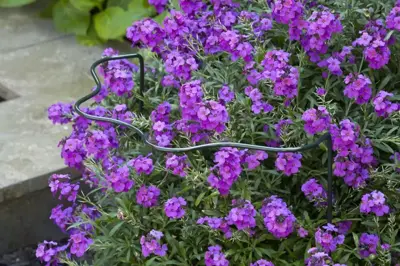 Nature Plantensteun d6mm h60x30x18cm groen - afbeelding 2