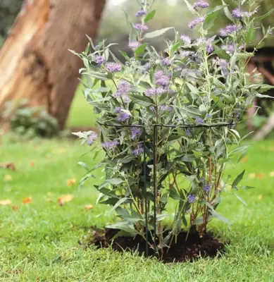 Nature Plantsteun 45b24h100cm groen - afbeelding 2