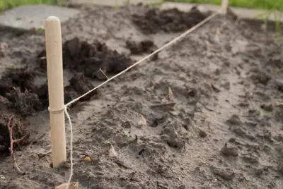 Nature Pootlijnset met 2 houten stokken en 20m touw. - afbeelding 3