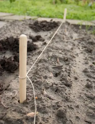 Nature Pootlijnset met 2 houten stokken en 20m touw. - afbeelding 5