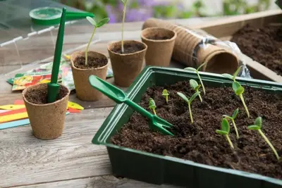 Nature Verspeensetje groen (verspeenpen + -vork) - afbeelding 2