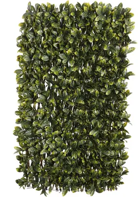 Nature wilgenklimrek Laurier 200x100cm