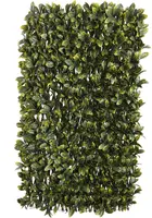 Nature wilgenklimrek Laurier 200x100cm