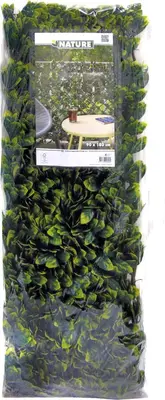 Nature Wilgenklimrek met PE-liguster - afbeelding 2