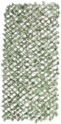 Nature wilgenklimrek wijnrank 200x100cm