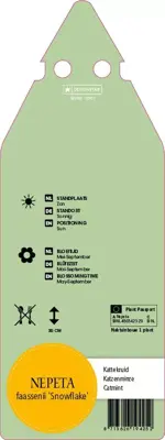 Nepeta Faassenii Snowflake (Kattenkruid) - afbeelding 2