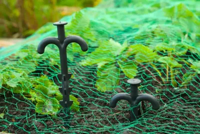 Nethouders l25cm 10st - afbeelding 4