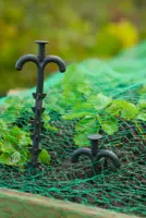 Nethouders l25cm 10st - afbeelding 3