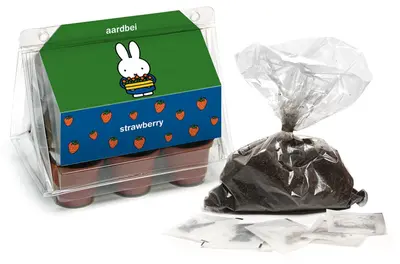 Nijntje Minikas Aardbei – Kweek je eigen aardbeien met Nijntje! ????