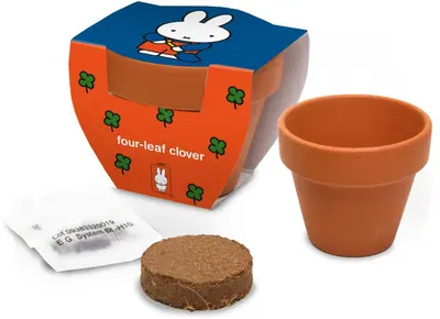 Nijntje Terracotta Pot Klavertje Vier – Kweek jouw eigen geluk! ????