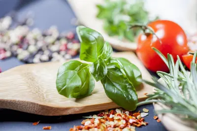 Ocimum basilicum (Basilicum) - afbeelding 4