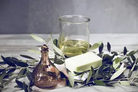 Olea europaea (Olijf) - afbeelding 10