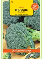 Oranjeband zaden Broccoli fiesta f1 kopen?