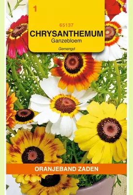 Oranjeband zaden Chrysanthemum, Ganzenbloem gemengd - afbeelding 1