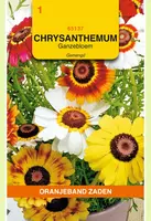 Oranjeband zaden Chrysanthemum, Ganzenbloem gemengd kopen?